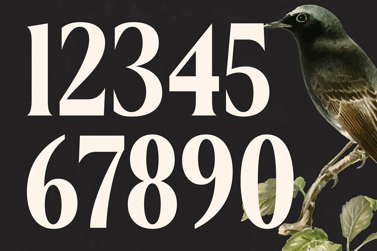 Belasfa Cantter Modern Serif Font, a Serif Font by timelesstype.co (Photo 9 of 20)
