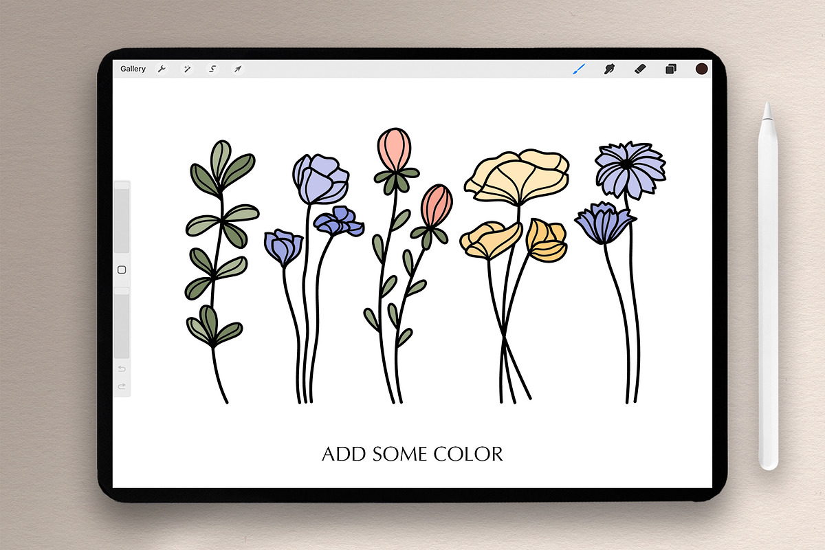Wildflowers Procreate Stamp Brushes