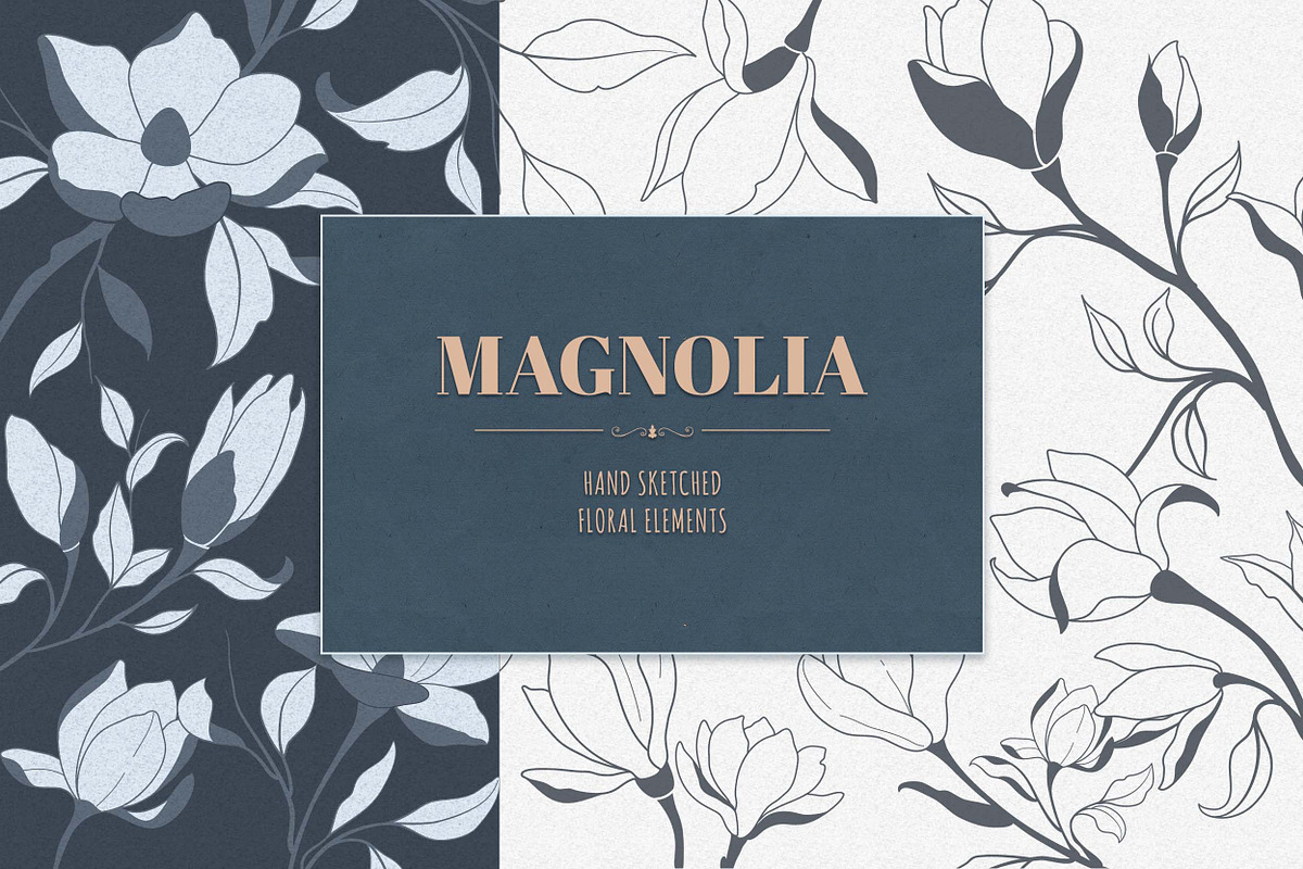 Hand Sketched Magnolia, a Decorative Illustration by Solana (Photo 1 of 10)