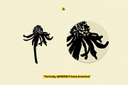 Botanical Vibes: 120 Floral Elements, an Object Illustration by Sheikhadesign (Thumbnail 5 of 15)