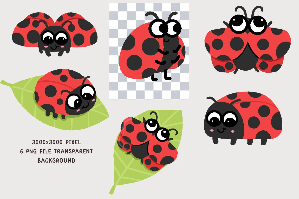 Cute Ladybug Png Ladybug Clipart, an Animal Illustration by Nattapohncha (Photo 2 of 3)