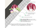 Cute Vegetables Watercolor Clipart, an Illustration by CharmClipart (Thumbnail 8 of 10)