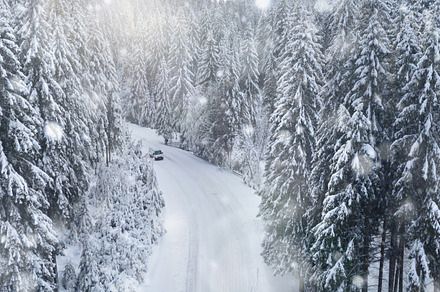 Car rides on snowy forest road stock photo containing landscape and forest