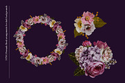 Isolated real flowers clipart set, an Object Graphic by The Graphic Parade (Thumbnail 6 of 14)
