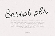 Script plr – Elegant Handcrafted, a Handwritten Font by adenpinkstore (Thumbnail 1 of 4)