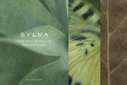 Sylva Textured Botanical Backgrounds, a Background Graphic by alonahaidash (Thumbnail 1 of 15)
