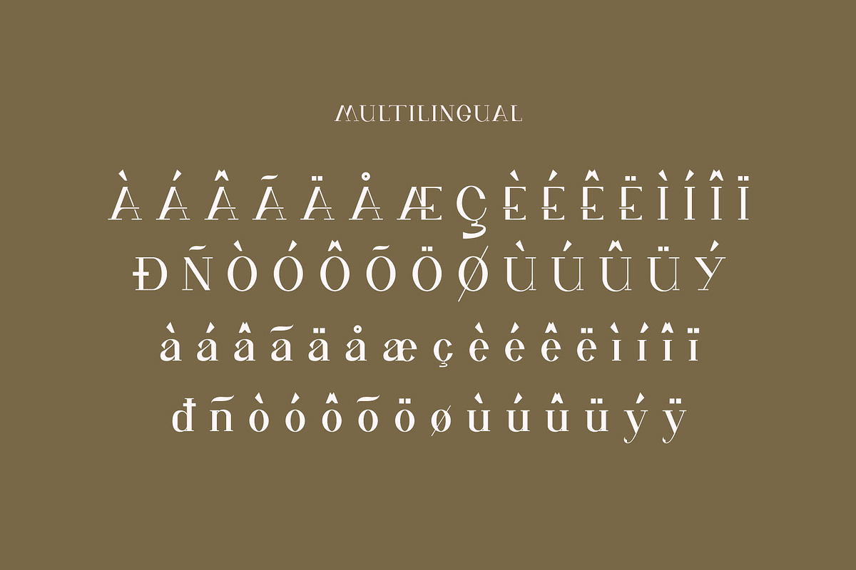 wifian Ligature Serif Typeface, a Serif Font by Humaira_std (Photo 10 of 11)
