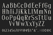 Mickory, a Serif Font by din-studio.com (Thumbnail 6 of 11)