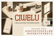 Ciwelu | A Sophisticated Serif, a Serif Font by Astuti Studio (Thumbnail 23 of 25)