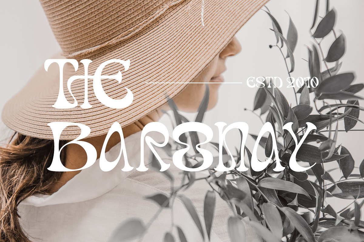 Dream Theatrion, a Serif Font by Letterara (Photo 10 of 14)