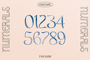 EUBERGINE - Display, a Font by Typetemp Studio (Thumbnail 13 of 16)