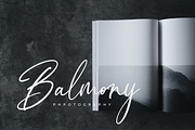 Valment Calligraphy Font, a Script Font by Pen Culture (Thumbnail 5 of 9)