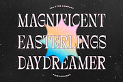 TAN - FAIRGROUNDS, a Serif Font by TanType (Thumbnail 2 of 7)