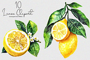 Watercolor Lemon Clipart, an Illustration by SinaCreation (Thumbnail 1 of 7)