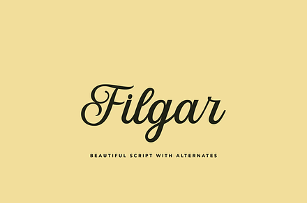 Filgar – A Luxurious Script