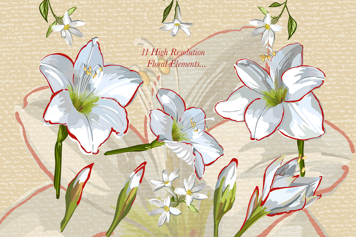 Christmas Floral & Holly Kit, a Decorative Illustration by Southwind Collections (Photo 4 of 7)
