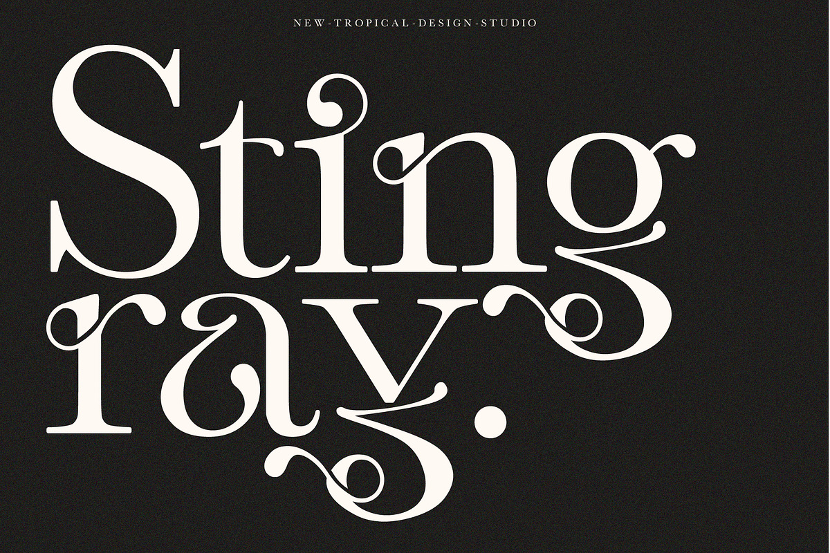 Vineyard - Serif Typeface, a Serif Font by Tropical Type (Photo 6 of 10)