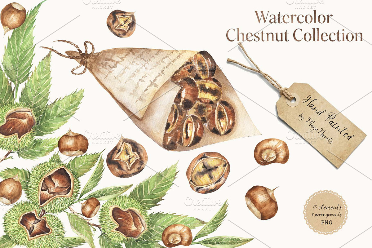 Watercolor Chestnut Set, a Food Illustration by MayaNavits (Photo 1 of 7)