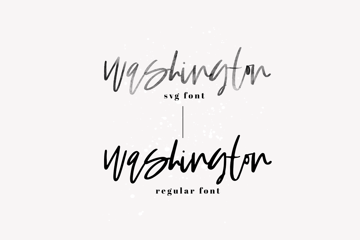 Washington - SVG & Solid Script Font preview 5