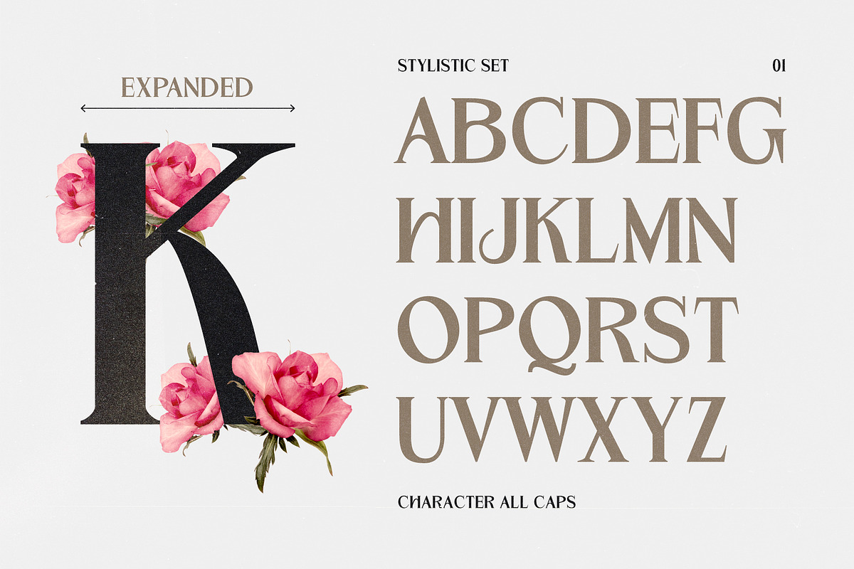 Garmole - Elegant Serif Font, a Serif Font by Hole Hope Design (Photo 3 of 10)