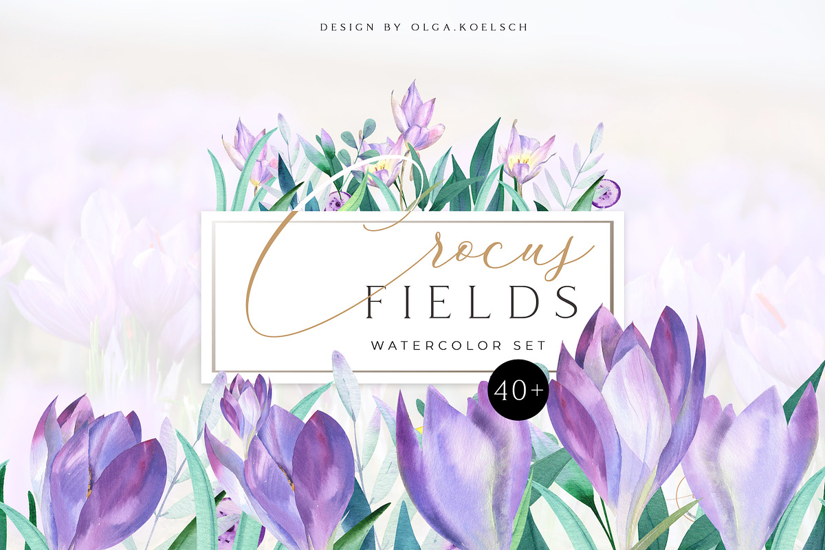 Spring Crocus Flowers Watercolor set, an Illustration by Olga Koelsch (Photo 1 of 8)