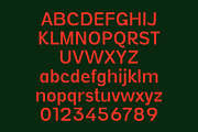 Vynce Sans Picturesque Family, a Sans Serif Font by Lettertype Studio (Thumbnail 9 of 15)