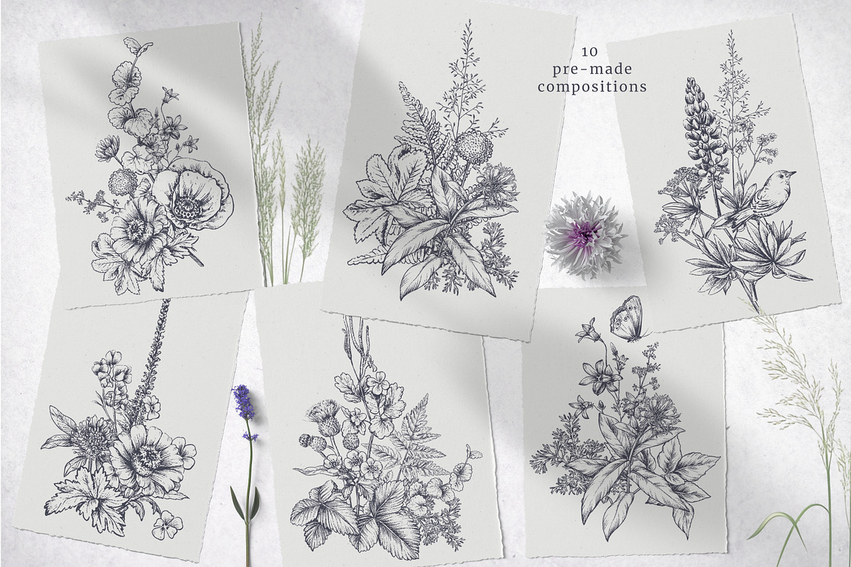 Wildflower Meadow Vector Set, a Decorative Illustration by Molly art (Photo 7 of 12)