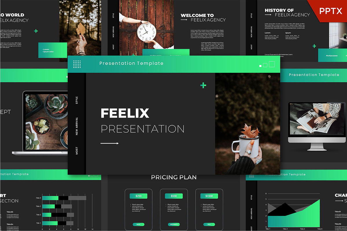Feelix Keynote Template, a Presentation Template by GridlineType (Photo 1 of 11)