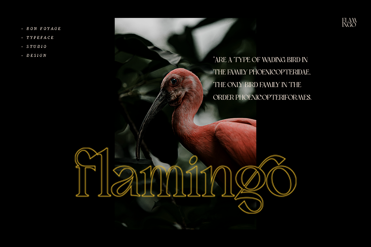 Bon Foyage - Vintage Modern Serif, a Serif Font by Dharmas Foundry (Photo 4 of 15)