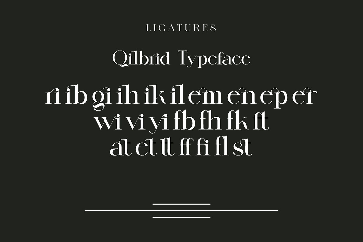Qilbrid Modern Ligature Serif, a Serif Font by Alfinart (Photo 10 of 10)