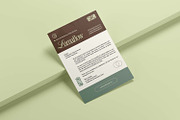 Lumaflow - Letterhead, a Card Template by Fannan Studio (Thumbnail 3 of 3)