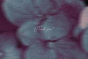 Moody Dark Glitch & Blur Backgrounds, a Background Graphic by PaperJamLab (Thumbnail 12 of 12)