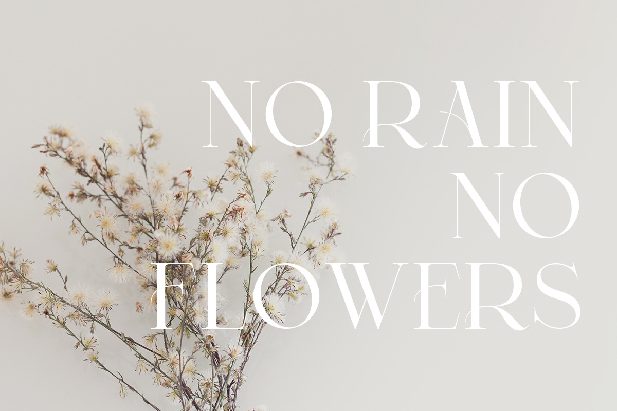 Malibu | Modern Stylish, a Serif Font by Muntab_Art (Photo 6 of 8)
