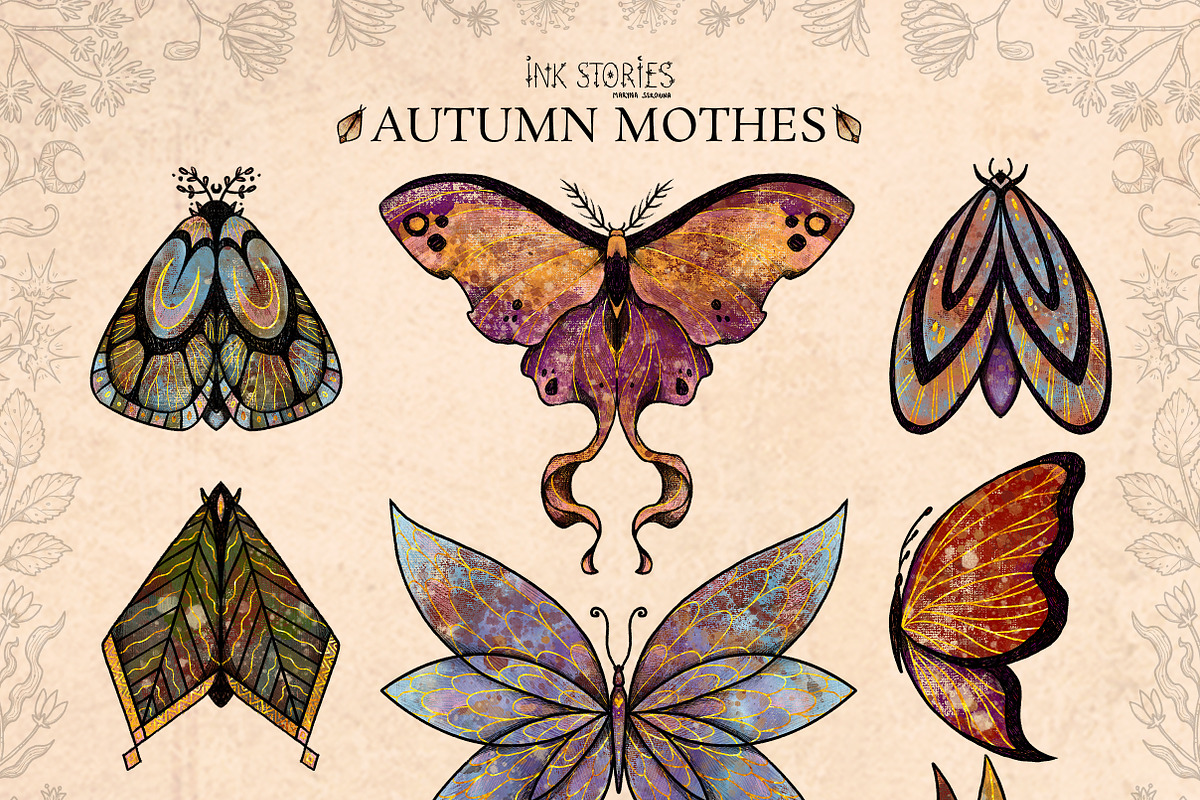 Autumn Moths & Dried Botanicals, an Animal Illustration by Ink Stories (Photo 2 of 18)