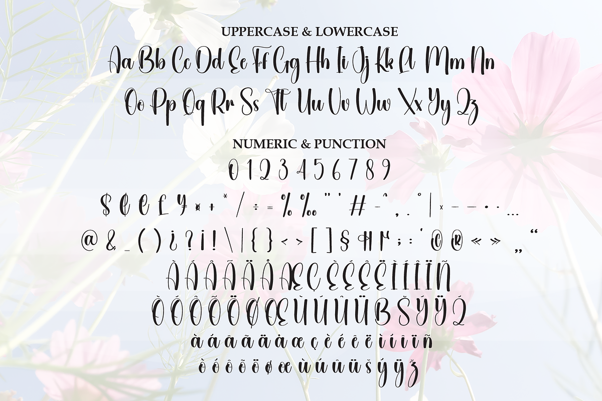 Beautiful | Script Font, a Handwritten Font by Scratchones (Photo 7 of 8)