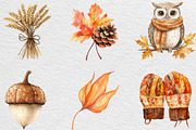 Watercolor Autumn Clipart Bundle, an Illustration by Black Bird Studio (Thumbnail 5 of 6)