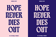 Averica Display Font, a Serif Font by Letteralle Studios (Thumbnail 9 of 12)
