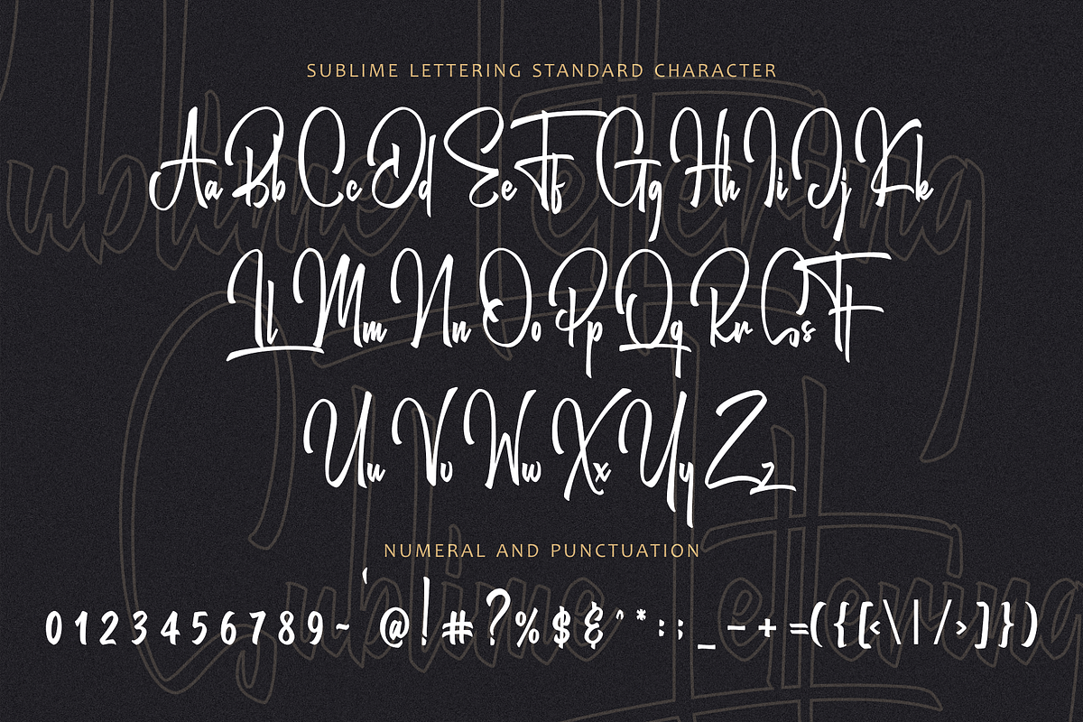 Sublime Lettering Font, a Script Font by RedyStudio (Photo 16 of 18)