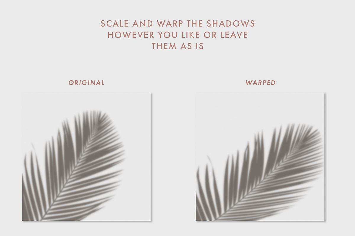 30 Botanical Shadow Overlays, a Mockup by Megs Lang (Photo 5 of 8)