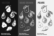 Fruits - hand drawn vector set, a Food Illustration by Margo Miller (Thumbnail 24 of 25)
