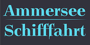Legit Didone, a Serif Font by Finaltype (Thumbnail 11 of 13)