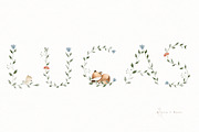 The Woodland Alphabet, an Animal Illustration by Flora+Bear (Thumbnail 15 of 16)