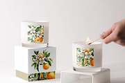 Orange Blossom - Watercolor Set, a Decorative Illustration by ThaismotaCreativeCo (Thumbnail 7 of 9)