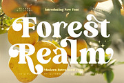 Forest Realm Modern Retro Serif, a Serif Font by timelesstype.co (Thumbnail 1 of 20)