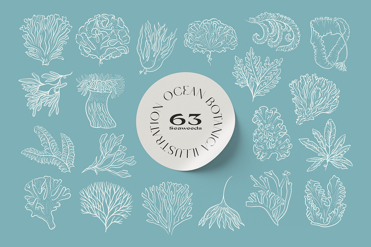 Ocean Botanica, an Animal Illustration by KetteCreate (Photo 11 of 13)