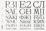 TT Ricordi, a Serif Font by TypeType (Thumbnail 2 of 15)