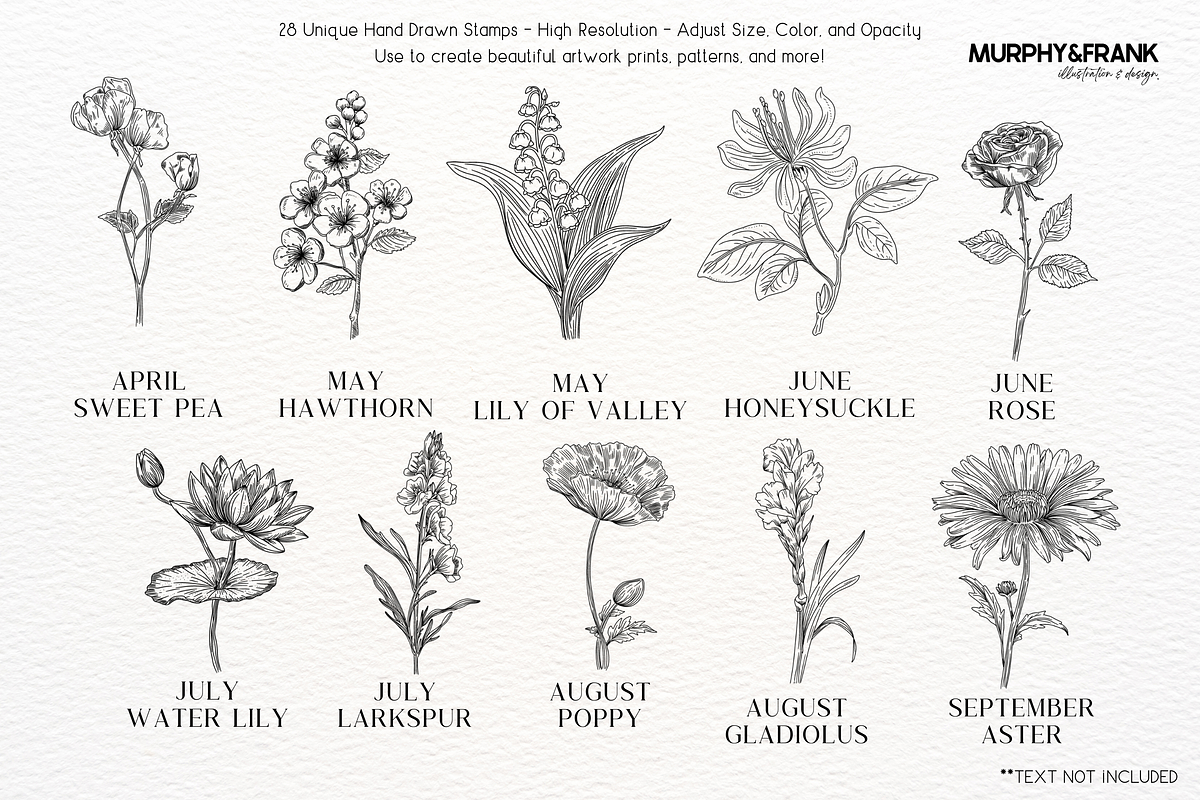 Birth Flower Procreate Brush Stamps, a Brush Add-On by Murphy & Frank (Photo 3 of 4)
