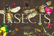 Insects and bug clipart png, an Object Illustration by Vero Arts (Thumbnail 1 of 11)