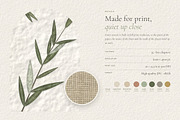 Sage & Stone Botanical Textures, a Texture Graphic by A Northern Type (Thumbnail 8 of 9)