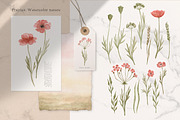 Prairies. American Animals & Nature, an Animal Illustration by Kreker Kate (Thumbnail 7 of 13)